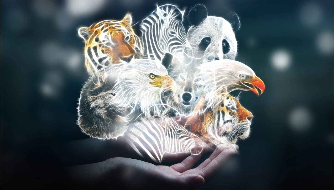 animales_en_peligro_de_extincion_que_se_han_recuperado